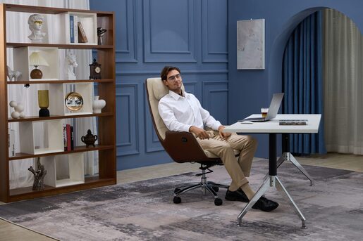 Medics Care ZenPro Q6 Masažna Kancelarijska Stolica (Bež / Braon)