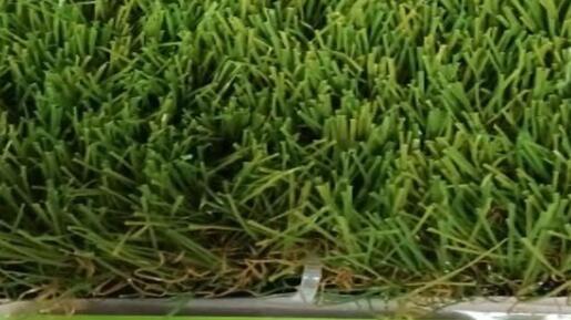 Nexsas Veštačka trava 170 2X25M/Roll  124735