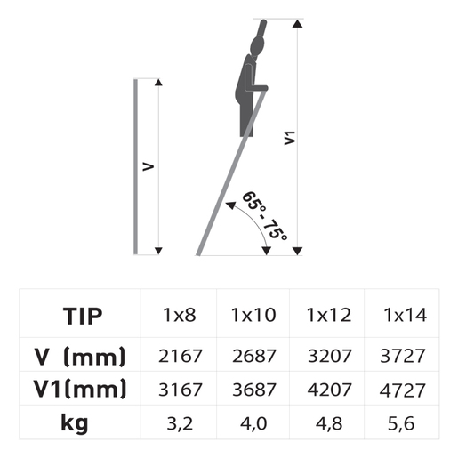 Nexsas merdevine 1 x 12 101837