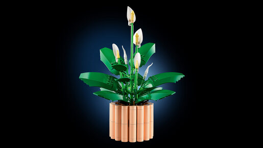 LEGO Spatifilum 11504