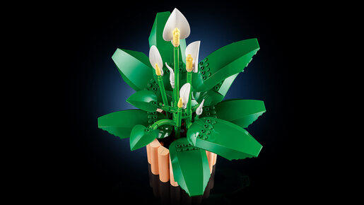 LEGO Spatifilum 11504