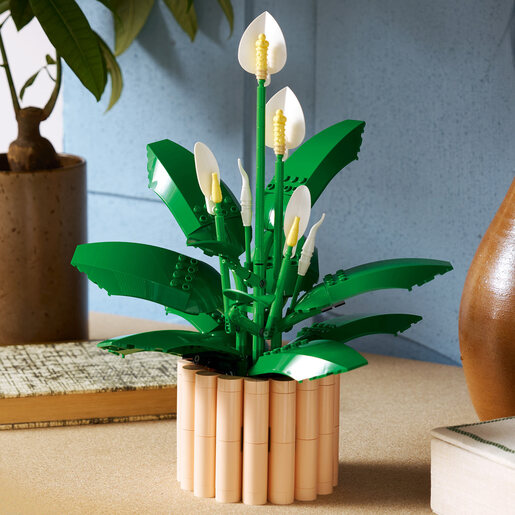 LEGO Spatifilum 11504