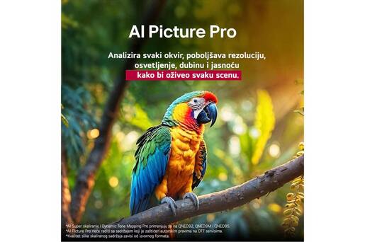 LG QNED MiniLED TV 55" 55QNED85A3C, 4K Ultra HD, WebOS Smart TV, α8 AI Processor 4K Gen2, Dynamic QNED, AI Picture Pro, VRR 144Hz, Magični daljinski