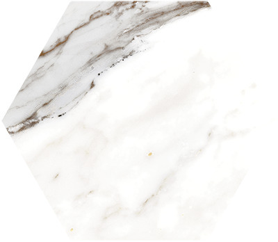 Zidne i podne pločice CALACATTA GOLD HEX 20x24