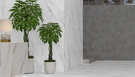 Zidne i podne pločice MARSHALL WHITE PULIDO 60x120