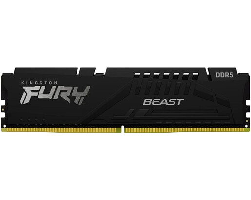 Kingston RAM Memorija DDR5 16GB 5600MHz Fury Beast Black KF556C40BB-16