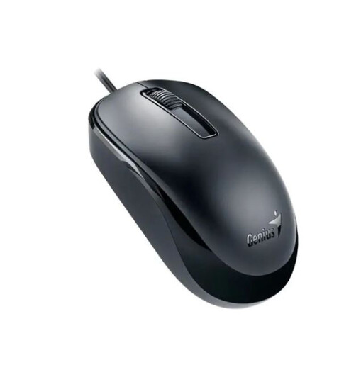 Miš Genius DX-125 USB-C Black