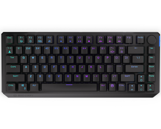 ENDORFY Thock Wireless 75% tastatura (EY5A074)