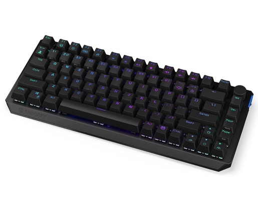 ENDORFY Thock Wireless 75% tastatura (EY5A074)