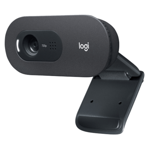 Web camera Logitech C505e 960-001372