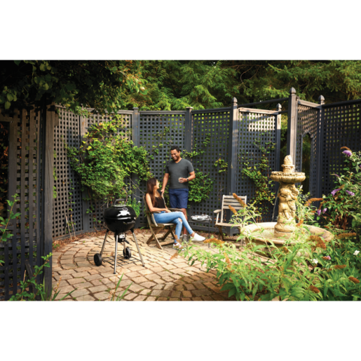 Napoleon roštilj na ugalj 47cm