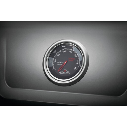 Napoleon plinski roštilj freeswtyle f365dsibpg