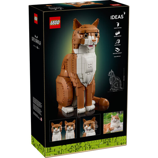 LEGO Narandžasta mačka 21376