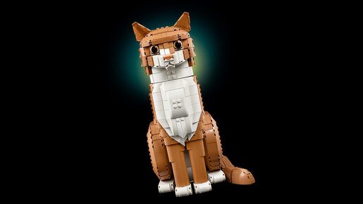 LEGO Narandžasta mačka 21376