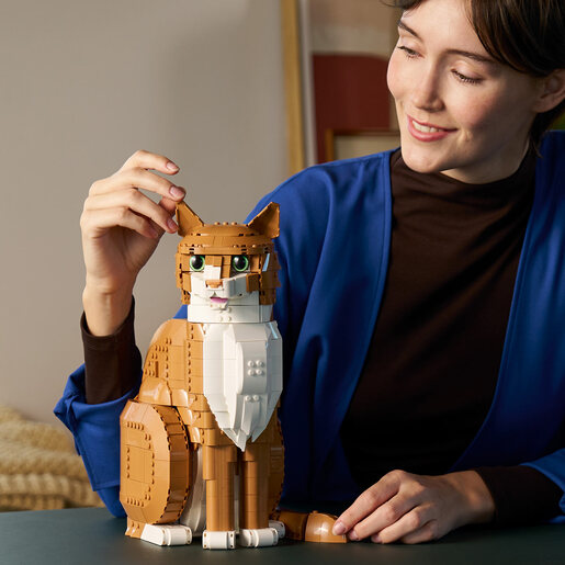 LEGO Narandžasta mačka 21376