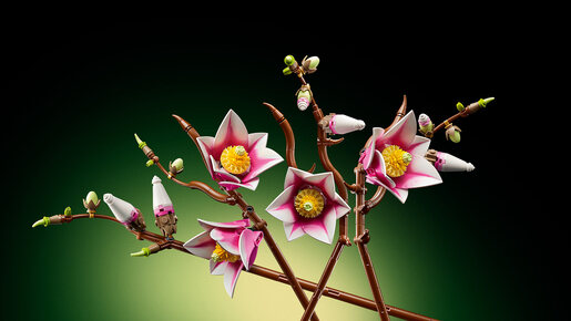 LEGO Grane magnolije 11510