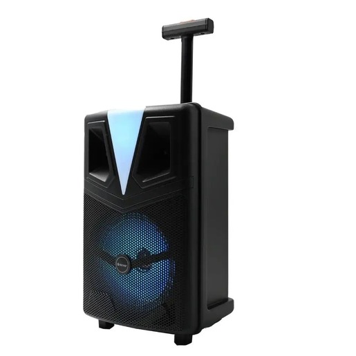 DENVER zvucnik bluetooth TSP-307