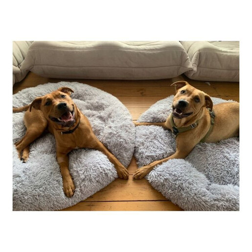 PETSI Plisani krevet za kucne ljubimce 100cm svetlo siva KOT05