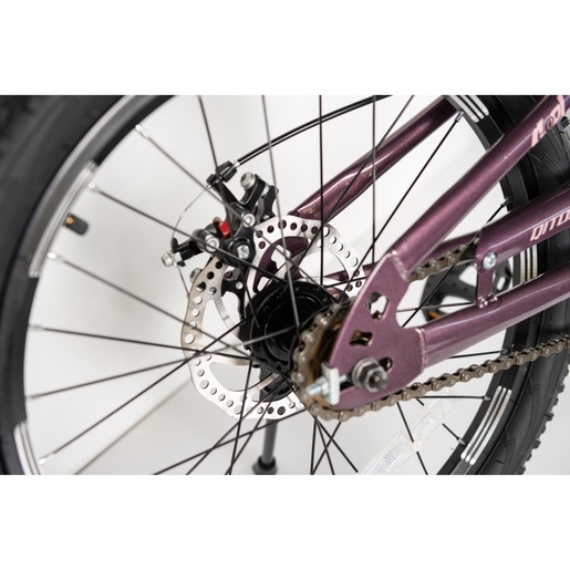 Winnerbike Dečiji bicikl 20/1-tn24q22-purple Bck0407
