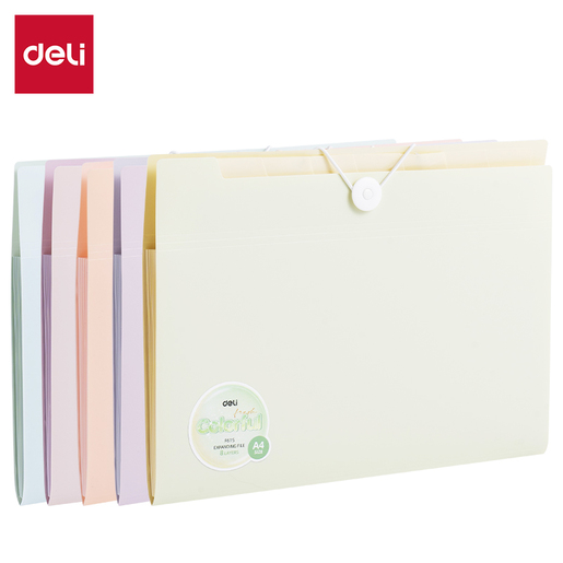 DELI FASCIKLA  SA PREGRADAMA MACARON A4 veličine sa 8 pregrada EF615