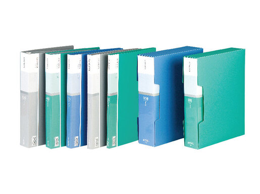 DELI FASCIKLA  DISPLAY BOOK 30 lista E5003