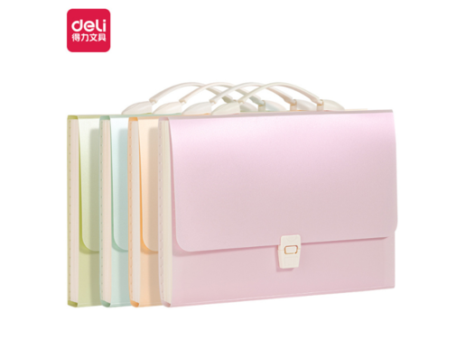 DELI TORBA ZA DOKUMENTA  PASTEL A4 VELIČINE SA 13 PREGRADA PM306