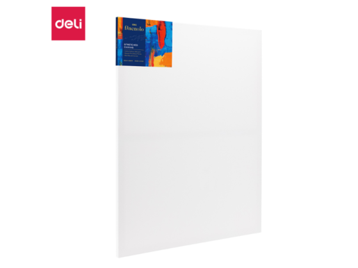 DELI SLIKARSKO PLATNO  NA RAMU 100% pamuk, 280g/m2,60cm*80cm EC279-11