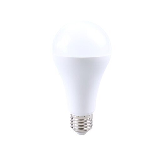 Rabalux LED sijalica SMD-LED 79109