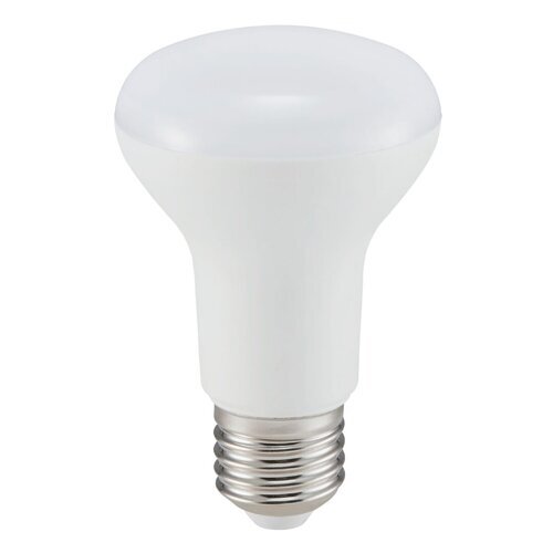Rabalux LED sijalica SMD-LED 79113