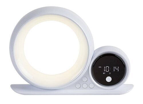 Rabalux Stona lampa Wakeway 76109