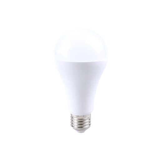 Rabalux LED sijalica SMD-LED 79117