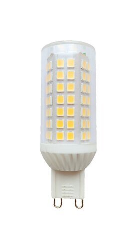 Rabalux LED sijalica SMD-LED 79119