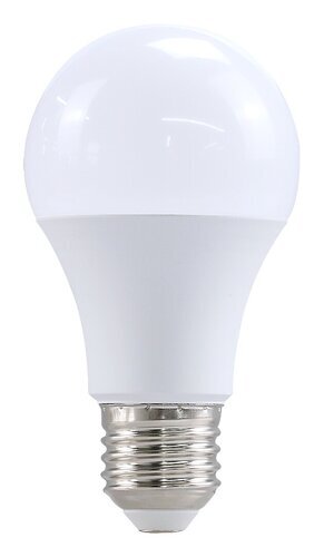 Rabalux LED sijalica SMD-LED 79061