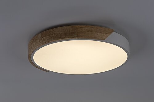 Rabalux Plafonjera Maple2 71419