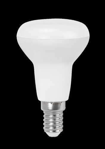 Rabalux LED sijalica SMD-LED 79064