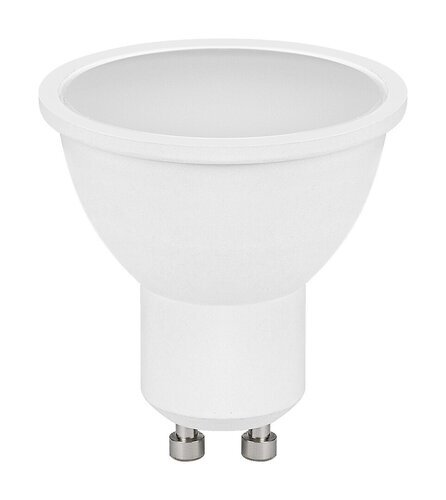 Rabalux LED sijalica SMD-LED 79039