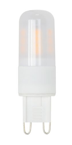 Rabalux LED sijalica SMD-LED 79124
