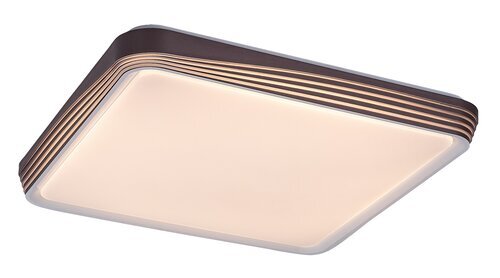 Rabalux Plafonjera Druzor 71166