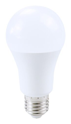 Rabalux LED sijalica SMD-LED 79041