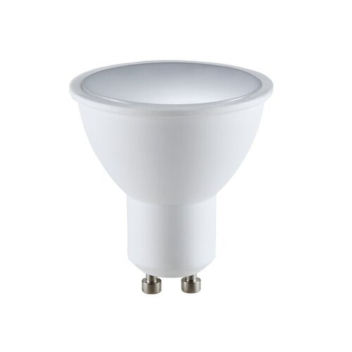 Rabalux LED sijalica SMD-LED 79105