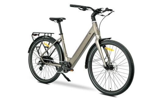 MS ENERGY električni bicikl eBike Zorya bronze_REG