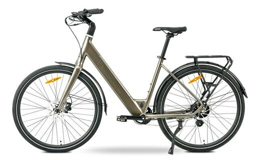 MS ENERGY električni bicikl eBike Zorya bronze_REG