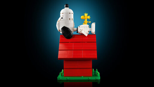 LEGO Snupijeva kućica 21368
