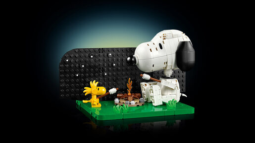 LEGO Snupijeva kućica 21368