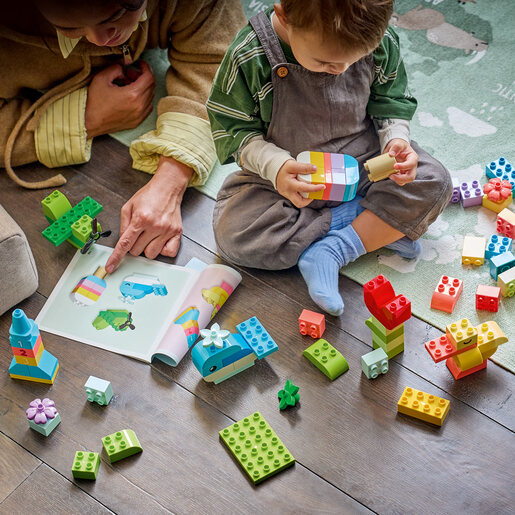 LEGO Šarena kreativna kutija 10479