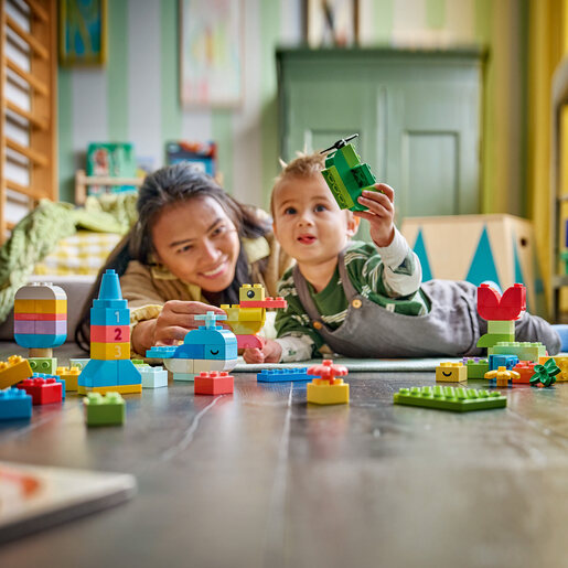LEGO Šarena kreativna kutija 10479