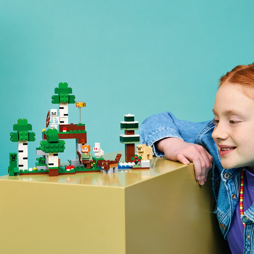 LEGO Avantura prve noći 21593