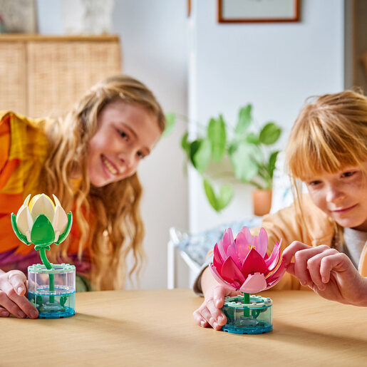 LEGO Lokvanji 11511