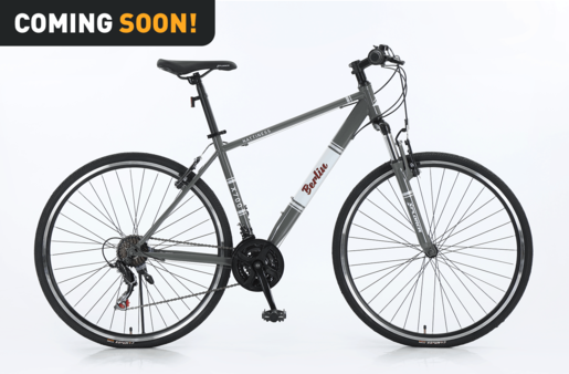 Xplorer gradski bicikl BERLIN Gray 28"
