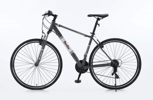 Xplorer gradski bicikl BERLIN Gray 28"